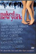 Watch Naked in New York Sockshare