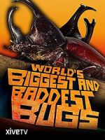 Watch World\'s Biggest and Baddest Bugs Sockshare