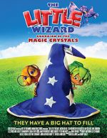 Watch The Little Wizard: Guardian of the Magic Crystals Sockshare