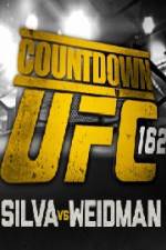 Watch Countdown To UFC 162 Sockshare