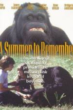 Watch A Summer to Remember Sockshare