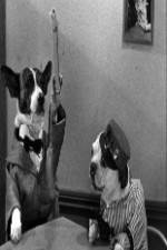 Watch The Two Barks Brothers Sockshare