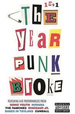 Watch 1991: The Year Punk Broke Sockshare