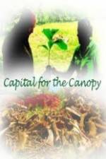 Watch Capital for the Canopy Sockshare