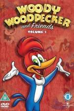 Watch Woody Woodpecker and His Friends Sockshare