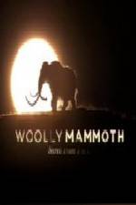 Watch Woolly Mammoth Secrets from the Ice Sockshare