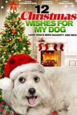 Watch 12 Christmas Wishes For My Dog Sockshare