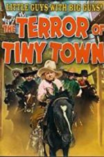 Watch The Terror of Tiny Town Sockshare