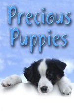 Watch Precious Puppies Sockshare