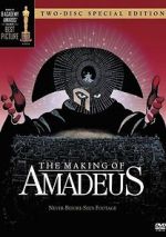 Watch The Making of \'Amadeus\' Sockshare