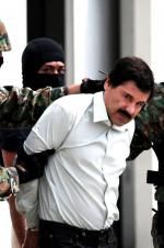 Watch The Rise and Fall of El Chapo Sockshare