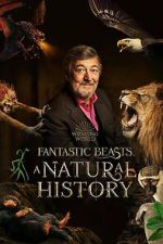Watch Fantastic Beasts: A Natural History Sockshare