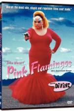 Watch Pink Flamingos Sockshare