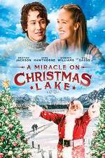 Watch A Miracle on Christmas Lake Sockshare