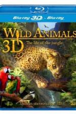 Watch Wild Animals - The Life of the Jungle 3D Sockshare