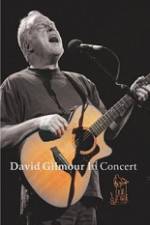 Watch David Gilmour in Concert - Live at Robert Wyatt's Meltdown Sockshare