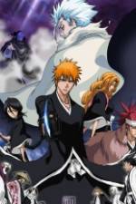 Watch Bleach: The Diamond Dust Rebellion Sockshare