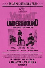 Watch The Velvet Underground Sockshare