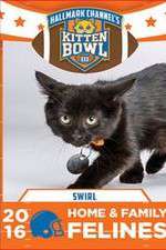 Watch Kitten Bowl III Sockshare