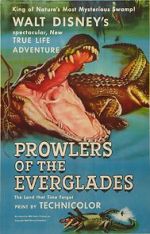 Watch Prowlers of the Everglades (Short 1953) Sockshare