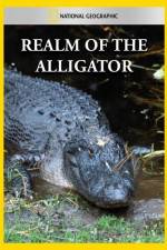 Watch National Geographic Realm of the Alligator Sockshare