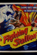 Watch The Fighting Stallion Sockshare