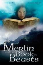 Watch Merlin and the Book of Beasts Sockshare