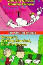 Watch Snoopy's Getting Married Charlie Brown Sockshare