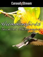 Watch Hummingbirds Jewelled Messengers Sockshare