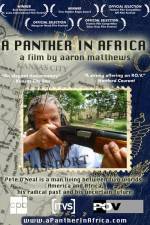 Watch A Panther in Africa Sockshare