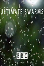 Watch Ultimate Swarms Sockshare