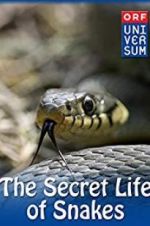 Watch The Secret Life of Snakes Sockshare