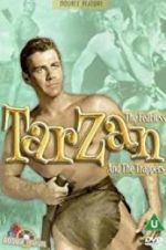 Watch Tarzan and the Trappers Sockshare