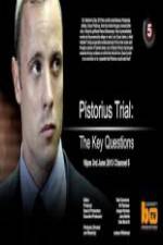 Watch Pistorius Trial: The Key Questions Sockshare