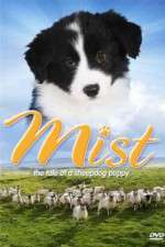 Watch Mist: The Tale of a Sheepdog Puppy Sockshare