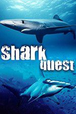 Watch Shark Quest Sockshare