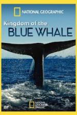 Watch National Geographic Kingdom of Blue Whale Sockshare