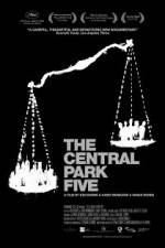 Watch The Central Park Five Sockshare