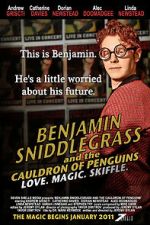 Watch Benjamin Sniddlegrass and the Cauldron of Penguins Sockshare