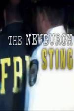 Watch The Newburgh Sting Sockshare