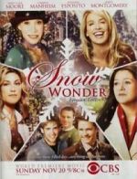 Watch Snow Wonder Sockshare