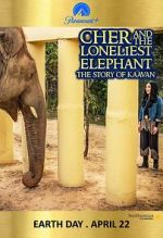 Watch Cher and the Loneliest Elephant Sockshare