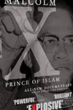 Watch Malcolm X Prince of Islam Sockshare