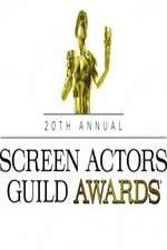 Watch The 20th Annual Screen Actors Guild Awards Sockshare