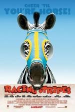 Watch Racing Stripes Sockshare