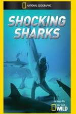 Watch Shocking Sharks Sockshare