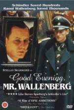 Watch Good Evening, Mr. Wallenberg Sockshare