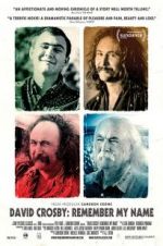 Watch David Crosby: Remember My Name Sockshare