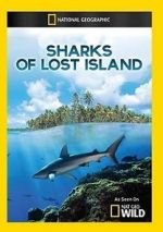 Watch Sharks of Lost Island Sockshare