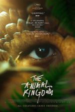 Watch The Animal Kingdom 0123movies